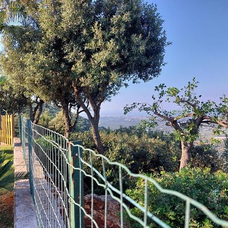 Villa Maremonti Monopoli Eksteriør bilde