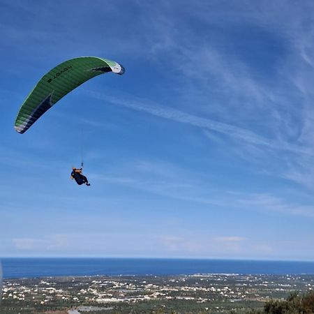 Villa Maremonti Monopoli Eksteriør bilde