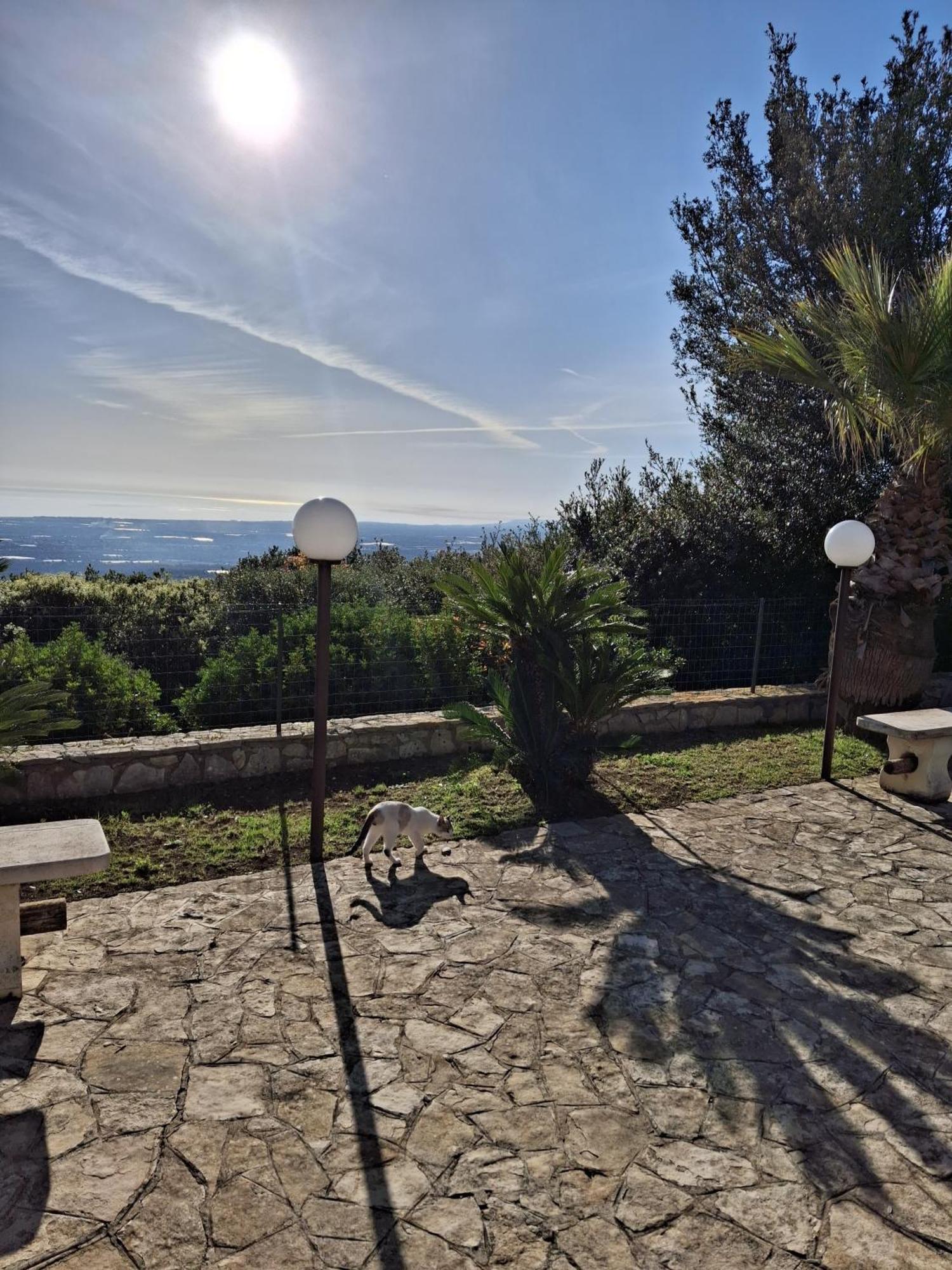 Villa Maremonti Monopoli Eksteriør bilde